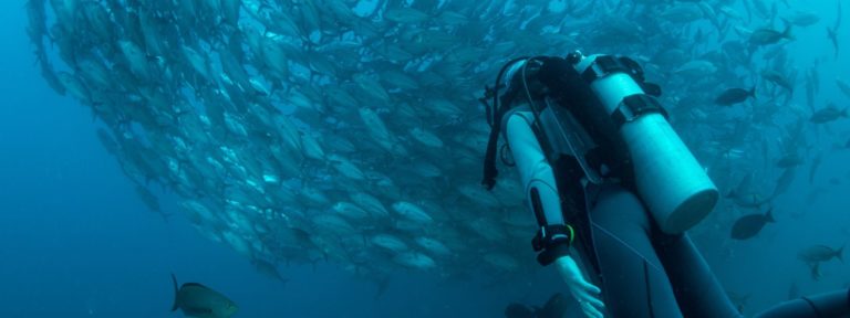 Diver in Bali