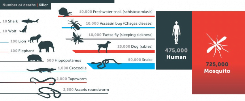 World Deadliest Animals by Number of People Killed per Year