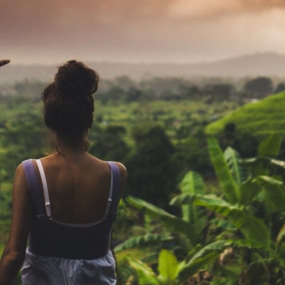 Bali rice fields