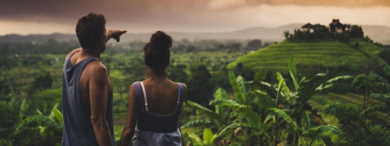 Bali rice fields