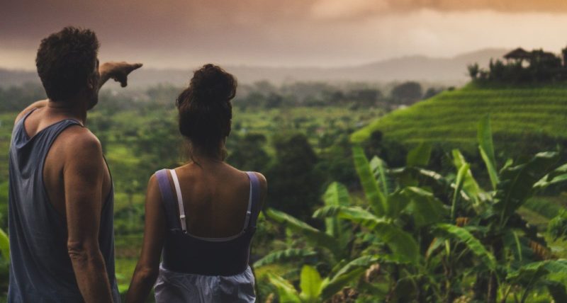 Rice Fields in Bali