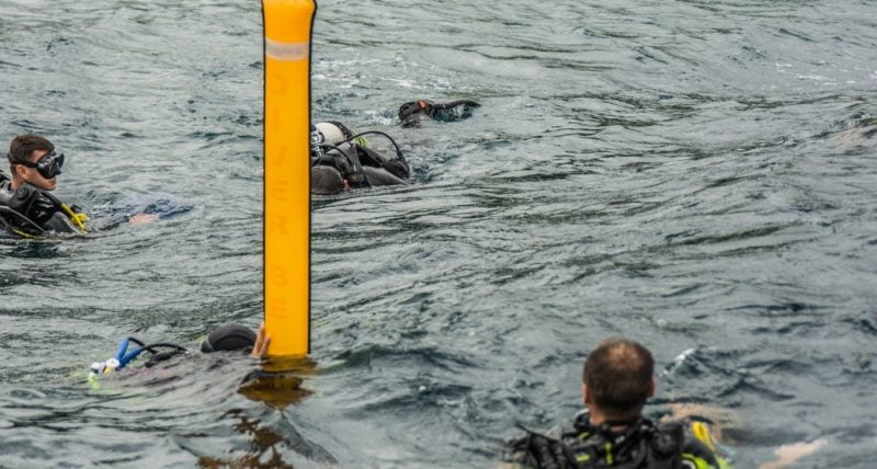 Surface Marker Buoy