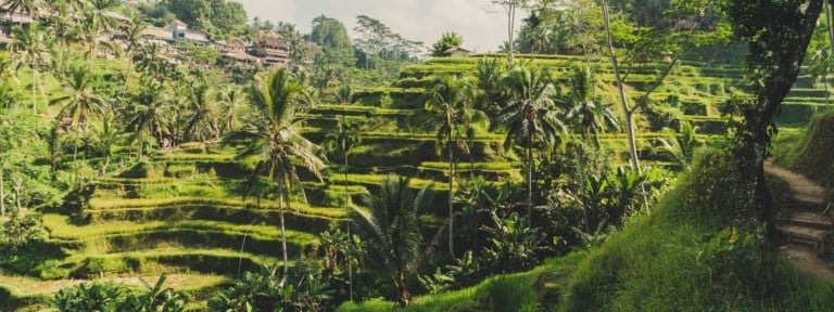 Ubud