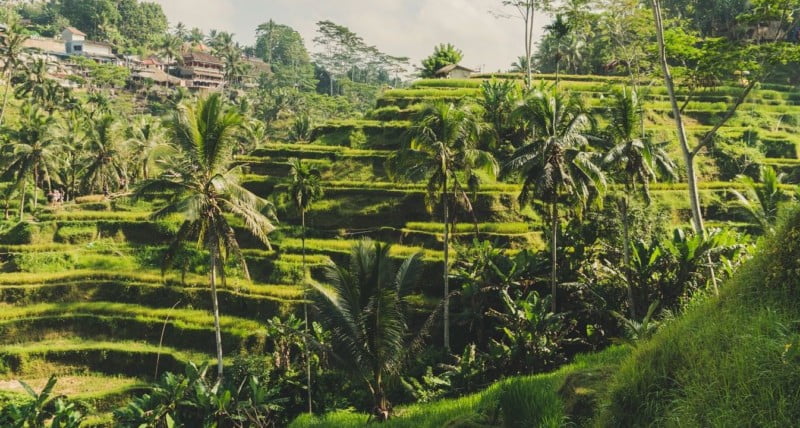 Ubud