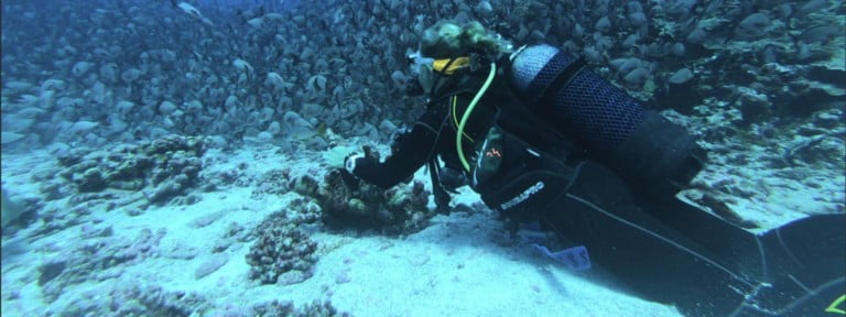 girl diver in bali