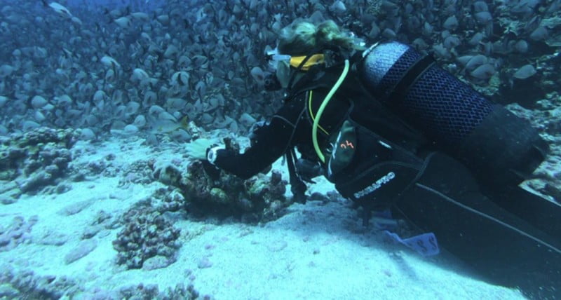 girl diver in bali