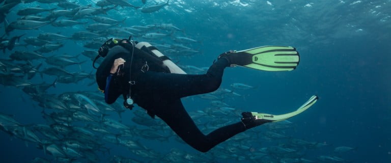 OK Divers Diving Bali Best Seller